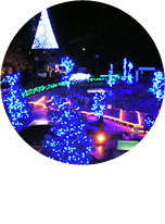 マロニエゲート