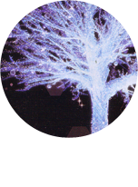 アクアシティお台場