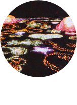 国営昭和記念公園